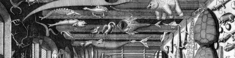 25.musaeum-wormianum-1655-plafond