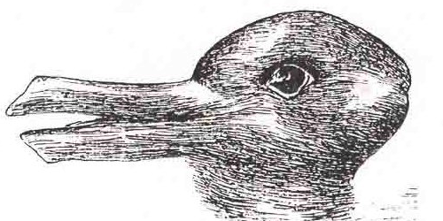 Duck-Rabbit_illusion in Kuhn-StructureofScientific Revolutions